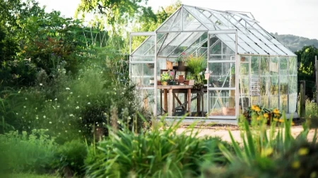 8 biljaka za koje bih volela da ih nikad u životu nisam posadila u baštu