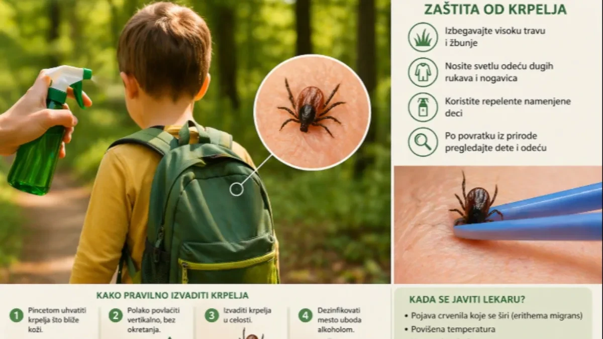 UBOD KRPELJA KOD DECE Sve što roditelji moraju da znaju od zaštite do simptoma