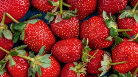 OSTAĆE SVEŽE I DO 10 DANA Evo kako pravilno da čuvate jagode od propadanja