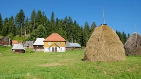 Napuštaju gradove - sve više mladih bira život na selu, potpisani ugovori za 111 kuća