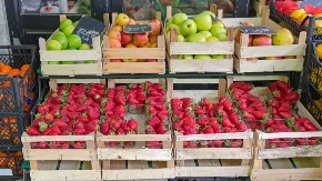 Malo ko pere jagode kako treba