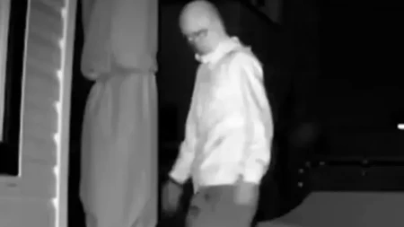 JEZIVA DRAMA U 2 UJUTRU! Postavila kameru zbog rakuna - ono što je otkrila LEDI KRV U ŽILAMA