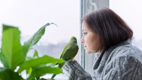 ŽENA SE POSVAĐALA SA PAPAGAJEM, LJUDI NA MREŽAMA PLAČU OD SMEHA Ovo morate da vidite - video je hit