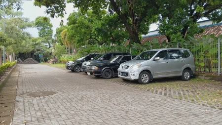 JESTE HLADOVINA, ALI IZBEGAVAJTE PARKIRANJE ISPOD DRVETA Postoji dobar razlog za to