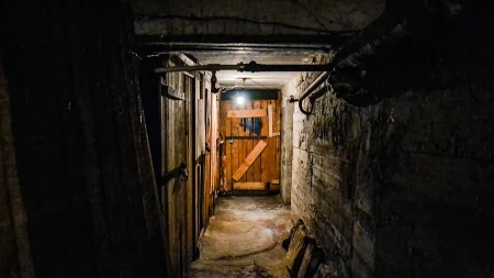 ŠOK U STAROM PODRUMU Žena otkrila STARU TAJNU nekadašnjeg vlasnika kuće - zinula je od čuda