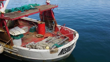 GRDOSIJA OD 4 METRA IZNENADILA RIBARE NA JADRANU Kada su je izvukli iz mreže usledio je pravi ŠOK