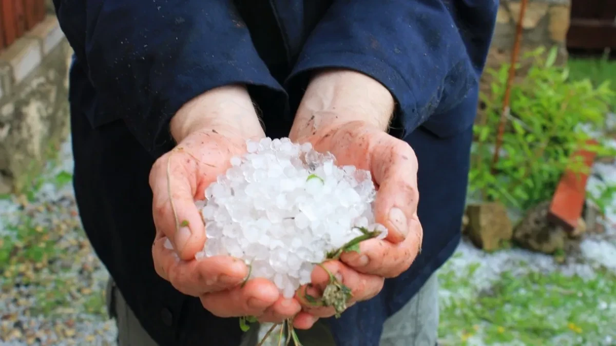 JAK GRAD POČEO DA BIJE U 13.30 ČASOVA! Stižu snimci snažnog nevremena: "Horor, zamračilo se"