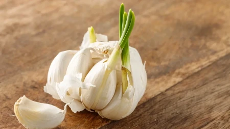 OSTAĆE SVEŽ MESECIMA Ovako se pravilno čuva beli luk