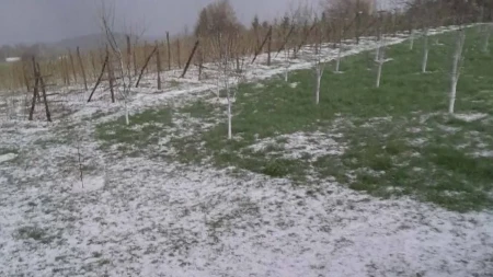 JAK GRAD VELIČINE ORAHA TUKAO SELO KOD PRIJEPOLJA Pao silan led, sve se zabelelo