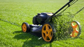 PRAVITE ŠTETU, A NISTE NI SVESNI Ne kosite travu u voćnjacima dok traje cvetanje - postoji dobar razlog za to