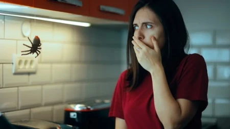 PAUCI BEŽE KAO LUDI! Jedan sastojak ih izbacuje iz kuće za tren – imate ga u kuhinji!