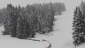 NULA STEPENI, VEJE KAO USRED ZIME! Ovaj deo Srbije osvanuo pod snegom, evo gde će još zabeleti (FOTO)