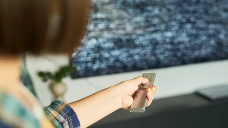 PROGRAMSKA ŠEMA za 23.april