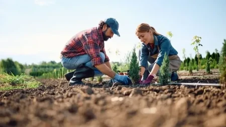 Kako pametno isplanirati sadnju tokom maja, juna i jula: Cvetanje će trajati neprekidno, bez „praznih“ perioda