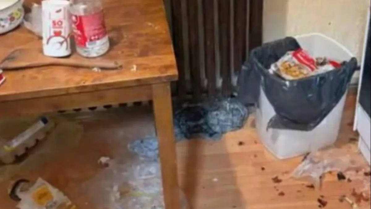 ŠOK SNIMAK IZ SRBIJE Stan pretvoren u SMEĆE – vlasnici zanemeli!