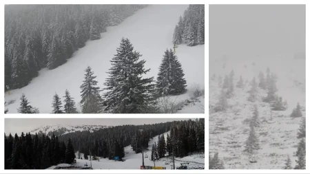 OVDE VEJE SNEG VEĆ 24 SATA Sve se beli, kao da je januar! (FOTO)