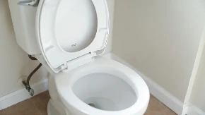 MISTERIJA REŠENA Evo da li treba zatvarati poklopac od WC šolje, svi radimo POGREŠNO
