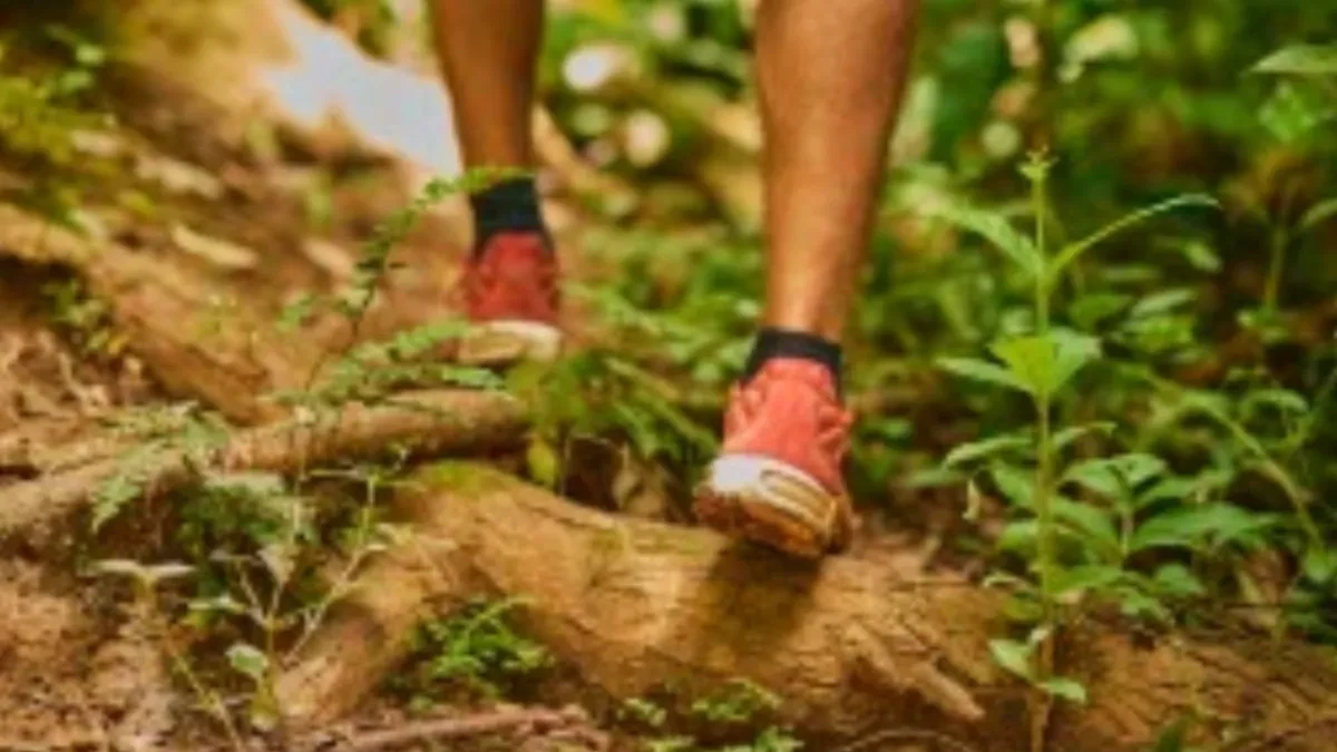 Univerexport nastavlja tradiciju podrške sportu i lokalnoj zajednici