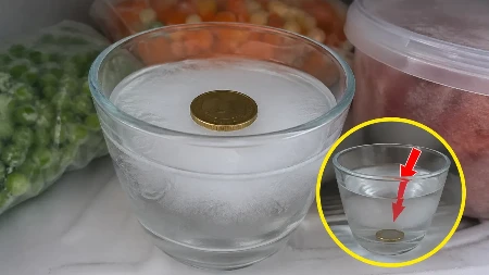GENIJALAN TRIK: Stavite novčić u zamrzivač ODMAH – može vam spasiti zdravlje!