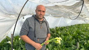 Ovo je imanje u srcu Srbije na kom žive elegantne kale: Gligići iz Vape neguju tradiciju proizvodnje cveća, kupci stižu sa svih strana 