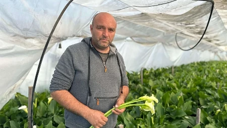 Ovo je imanje u srcu Srbije na kom žive elegantne kale: Gligići iz Vape neguju tradiciju proizvodnje cveća, kupci stižu sa svih strana 