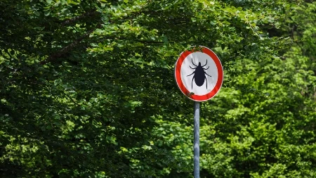 SA LEPIM VREMENOM STIŽU I KRPELJI! Evo kako da se sačuvate od ovih prenosnika raznik bolesti