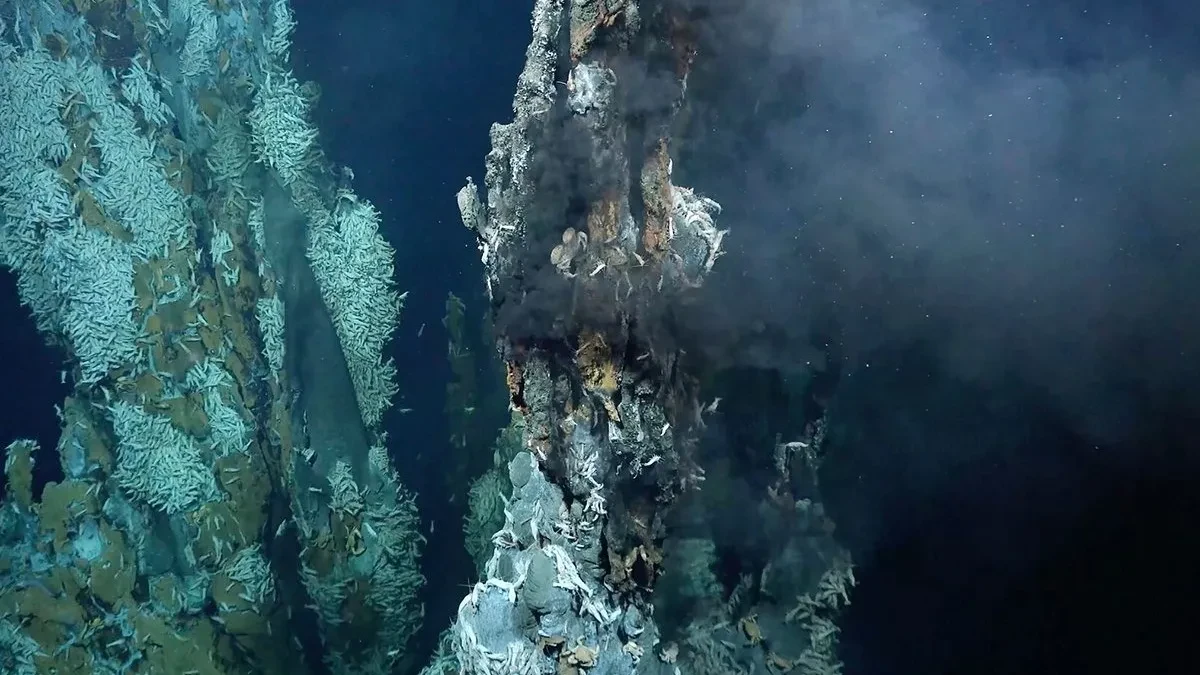 MISTERIOZNO "ZLATNO JAJE" NA DNU MORA! Naučnici prvo pomislili na vanzemaljce, a onda ih šokirala istina...