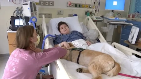 DETE U BOLNIČKOJ POSTELJI, PAS DOLAZI I...  ovaj snimak rasplakao je sve koji su ga videli (VIDEO)