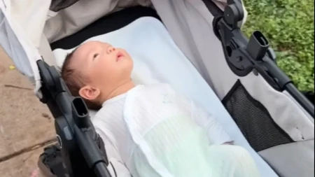 AKO SE PITATE KOLIKO ČESTO BEBU TREBA IZVODITI NAPOLJE Jedan snimak pokazao koliko to znači