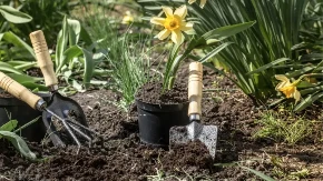 10 vrsta povrća koje možete posaditi samo jedno i uživati u njemu godinama: Ne zahteva bukvalno nikakvu negu, samo raste, buja i rađa