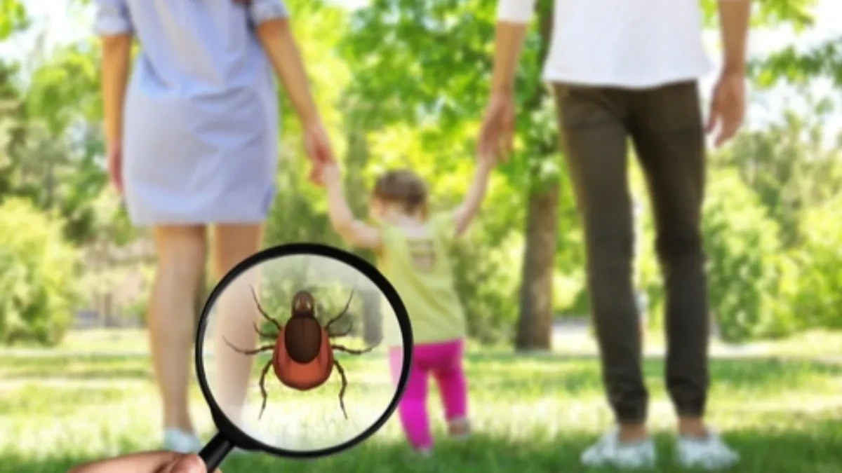 KAKO SE ZAŠTITI OD KRPELJA I KAKO REAGOVATI NA UBOD? Doktorka daje odgovore