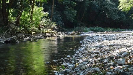 JEDNA OD NAJČISTIJIH REKA U SRBIJI JE NA SAMO 90 KILOMETARA OD BEOGRADA U njoj uživaju i lokalci i izletnici 
