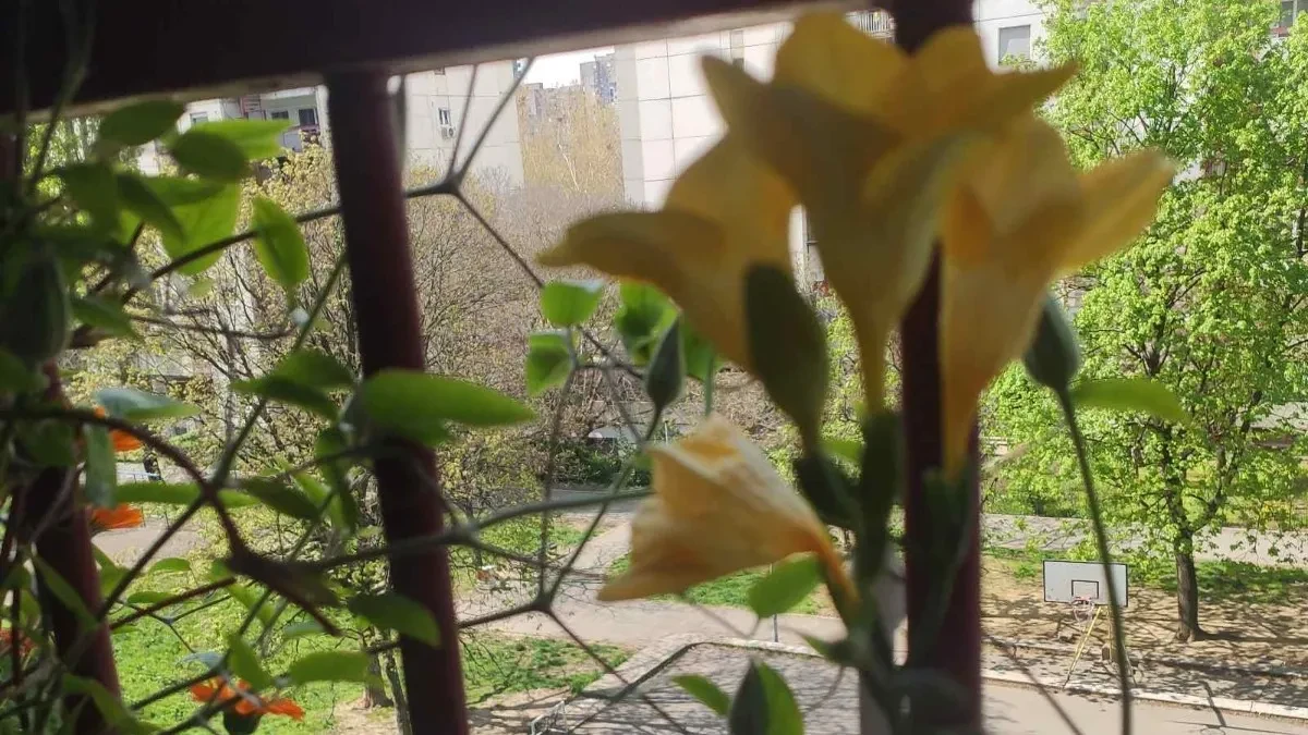 Prelepa novobeogradska terasa zablistala je i ovog proleća Šarena je i mirisna, a njena vlasnica nam otkriva svoju tajnu