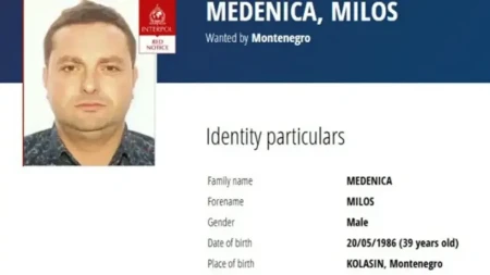 OTKRIVENI SAUČESNICI Dvojica uhapšena zbog pomaganja Medenici da pomogne 