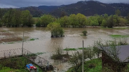 IZLILA SE ZAPADNA MORAVA Poplavljene njive i put, nadležni na terenu (FOTO)