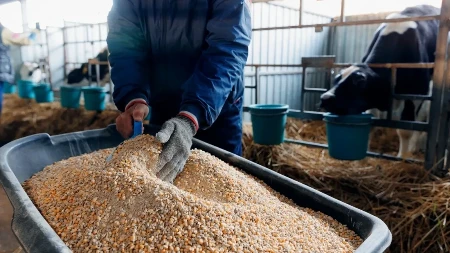 "Nećemo ih ostaviti na cedilu" - Rusija i Kuba razmatraju zajedničku proizvodnju