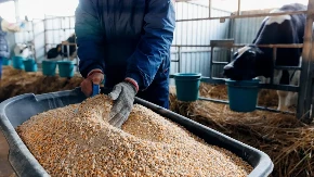 "Nećemo ih ostaviti na cedilu" - Rusija i Kuba razmatraju zajedničku proizvodnju