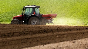 U ZRENJANINU BESPLATNO SEME ZA MALE PROIZVOĐAČE: Pomoć socijalno ugroženim poljoprivrednicima