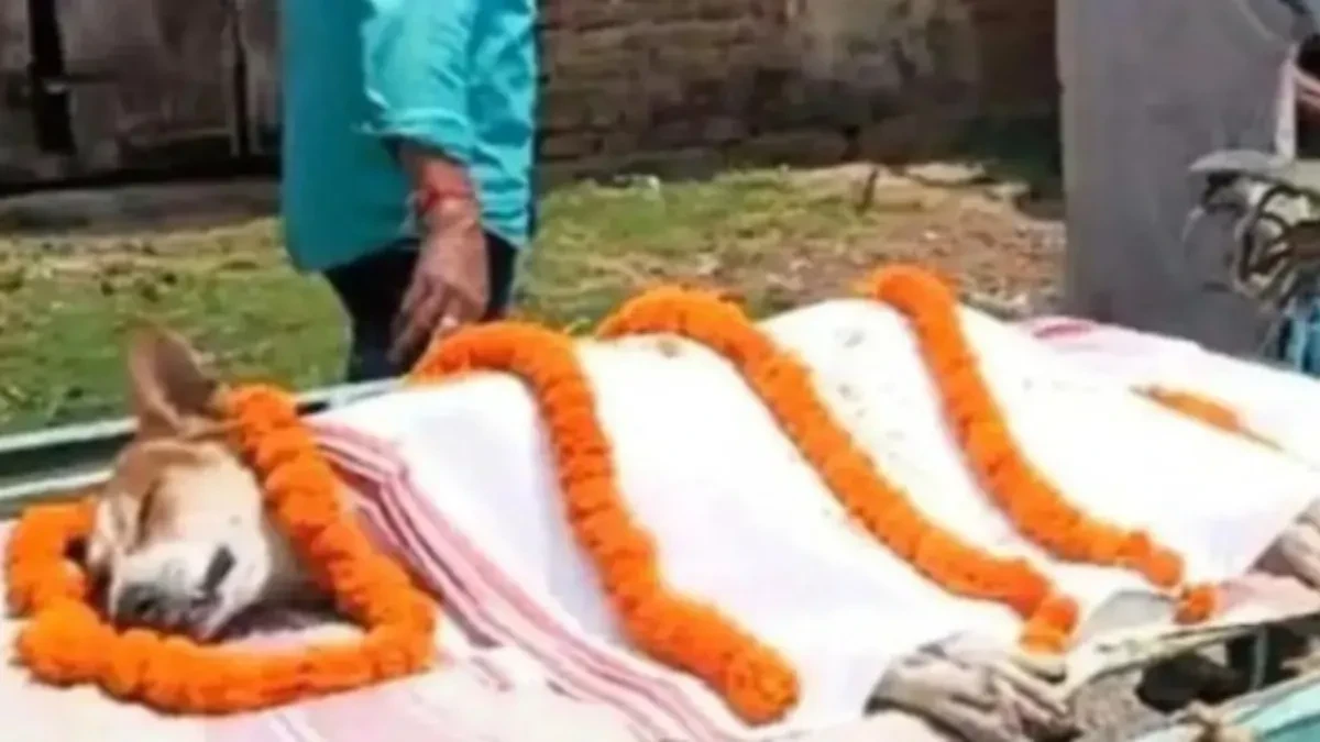 Pas heroj dao život za decu: Ono što je uradio rasplakalo je ljude širom sveta! (Video)