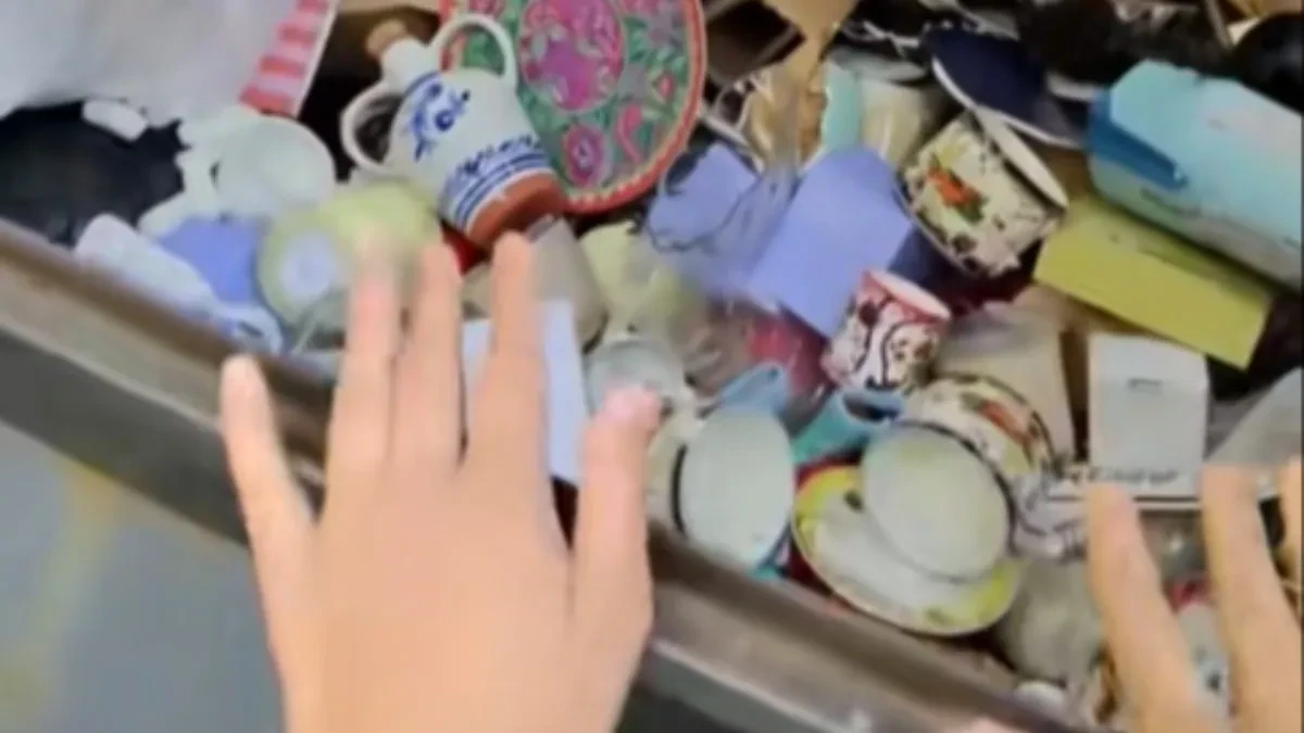 Zavirila u kontejner i ostala u šoku: Ono što je pronašla razbesnelo internet! 