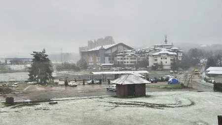Veje sneg na Zlatiboru! Zimska slika pred Prvi maj, sve se beli! (FOTO)
