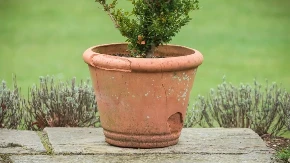 SAKSIJE SE RASPADAJU? Evo kako da ih sačuvate, uradite ovo i nećete morati da kupujete nove