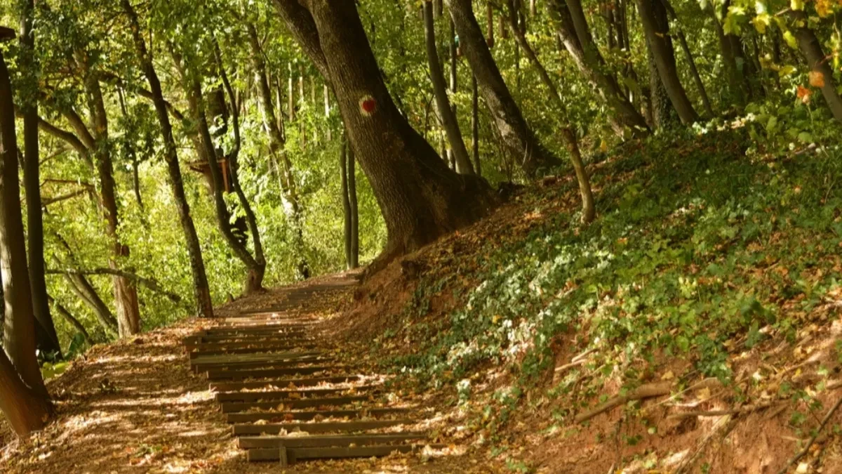 Niče turistički raj u Srbiji - na sat vremena od Beograda, zona za luksuz i odmor