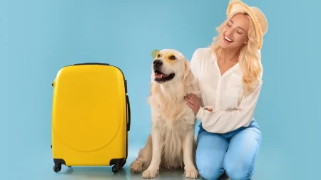 OVOG LETA PSI ĆE MOĆI DA PUTUJU AVIONOM Postoji nekoliko strogih pravila - vlasnici se već hvataju za glavu