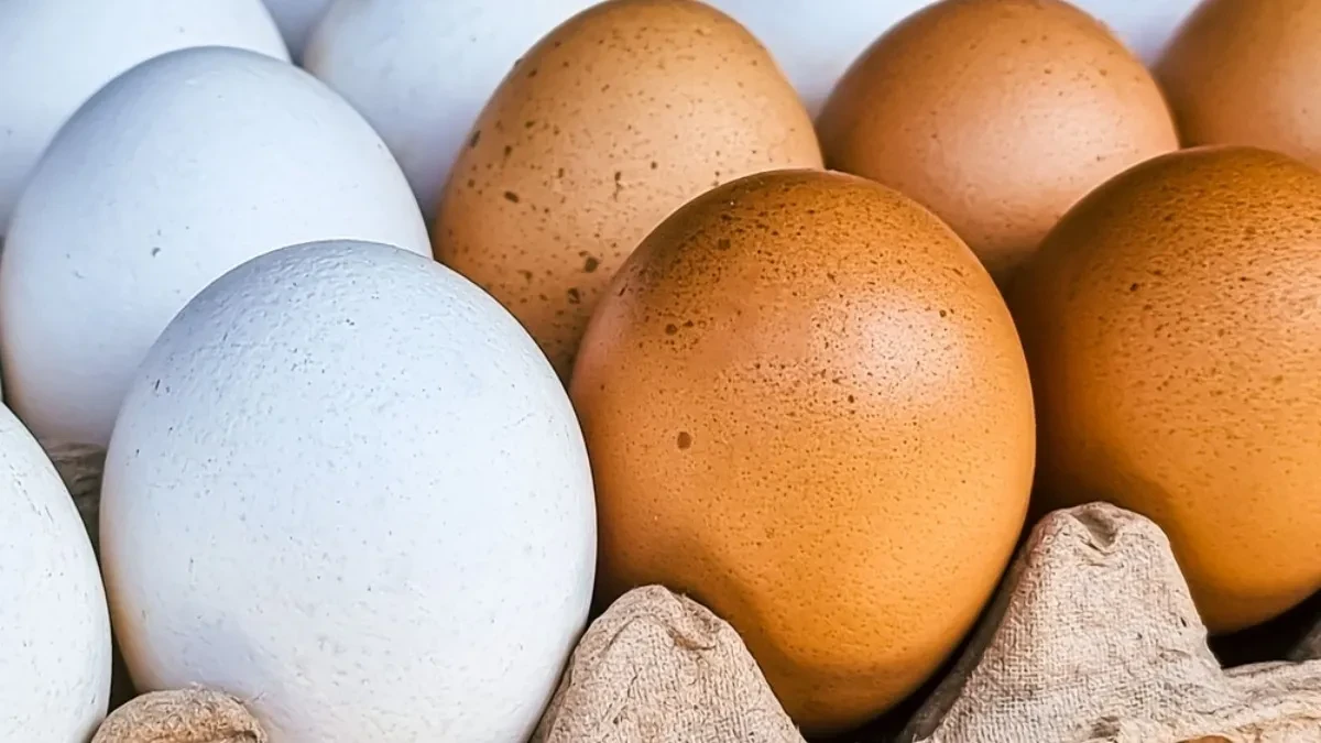 Kako izbeliti jaja bez kuvanja: Nikad lakše, biće kao sneg za 15 minuta!