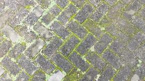 RUŽNA MAHOVINA NESTAJE ZA TILI ČAS Potrebna su vam ova 2 jeftina sastojka - već ih imate u kući