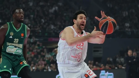 Vasa Micić povredio koleno