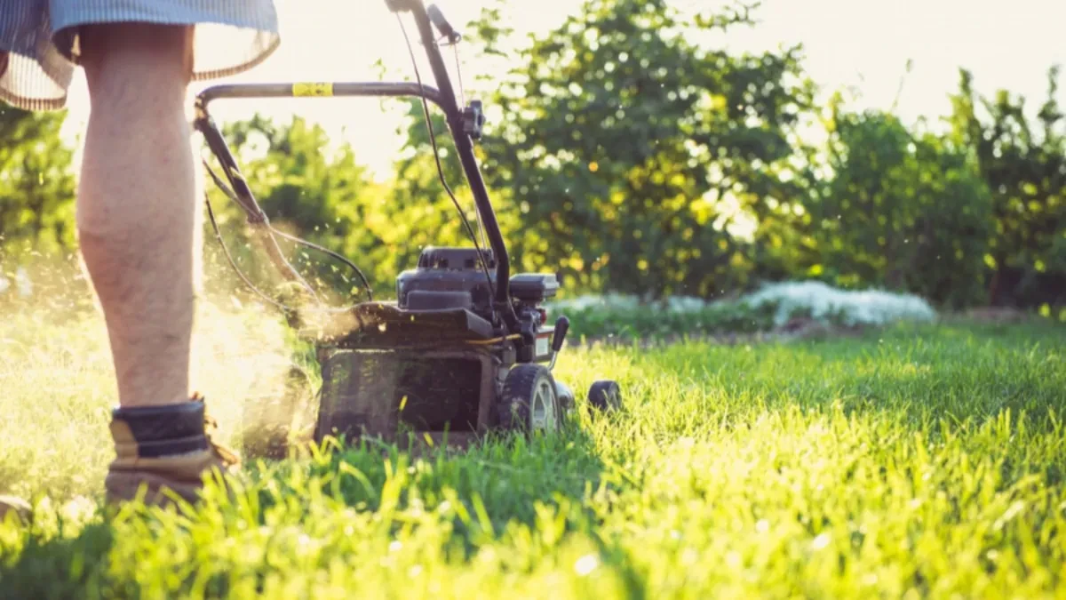 OVU GREŠKU SVI PRAVE Zbog nje vam travnjak izgleda sprženo i uništeno