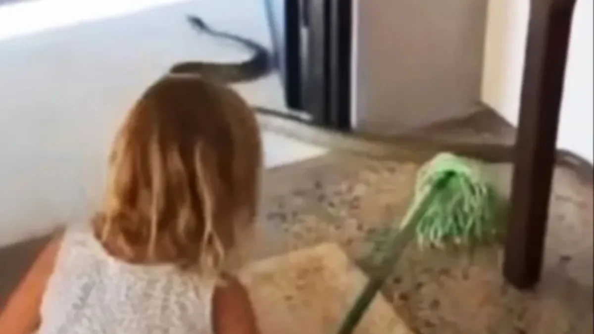 DEVOJČICA KRENULA NA MONSTRUMA: Snimak iz kuće ledi krv u žilama!