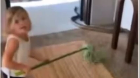 LEDI KRV U ŽILAMA Ogromna zmija se uvukla u kuću, pogledajte gde se sakrila, dete je uhvatilo golim rukama